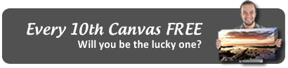 Every 10th Canvas Ordered goes Free