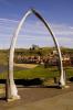 Whitby abbey and church through the whale bones