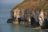 Flamborough Head