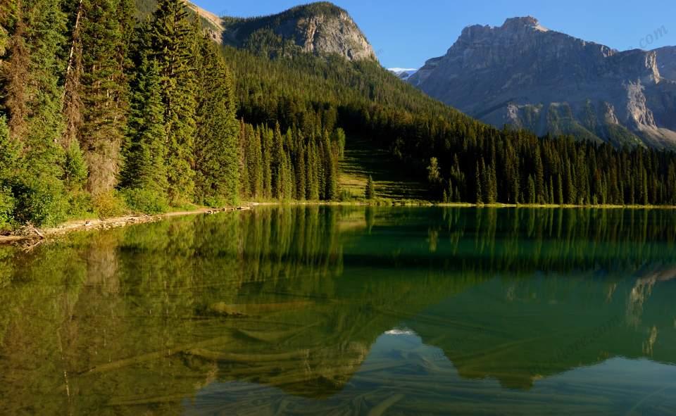 Emerald lake, Alberta, Canada Large Version