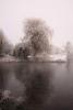 Frozen Willow, Brompton - by - Sawdon