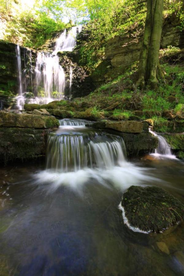 Scalaber Foss nr Malham Large Version