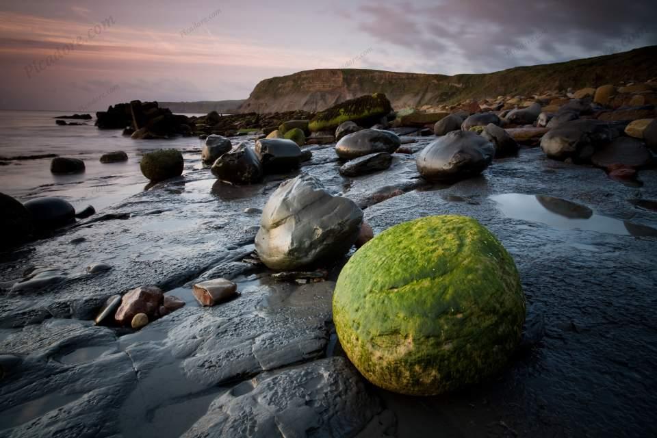 Early Morning Shoreline, Runswick Bay (02076e-ny) Large Version