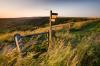 Low Sun Whitestone Cliff Waymarker, North Yorkshire. (02531e-ny)