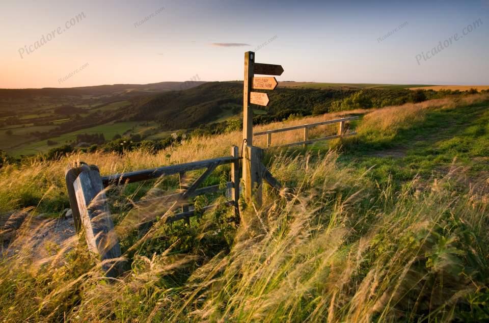 Low Sun Whitestone Cliff Waymarker, North Yorkshire. (02531e-ny) Large Version