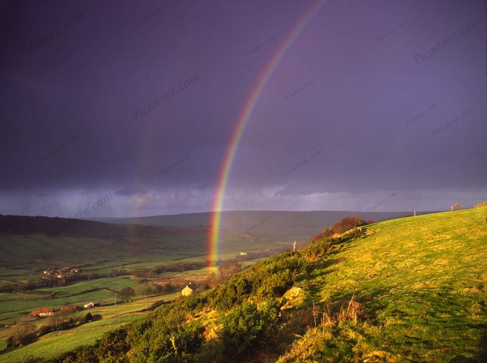 Rainbow Fryupdale (KY7392) Large Version