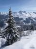 Saulire and snow covered tree