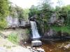 Thornton Force