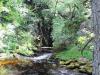 Ingleton Waterfalls