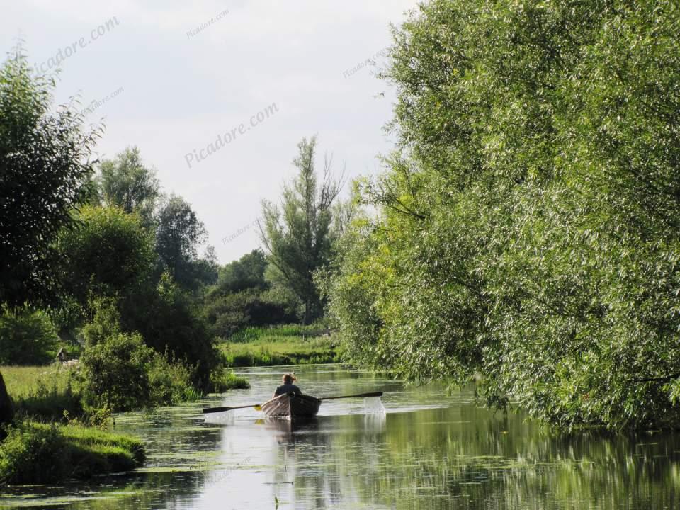 Boating on the River Stour Large Version