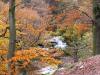 Langdale Forest Waterfall