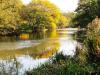River Derwent Autumn Reflection