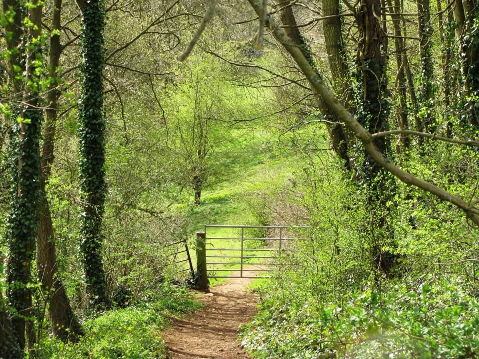 Upper Slaughter Gate way to peace Large Version