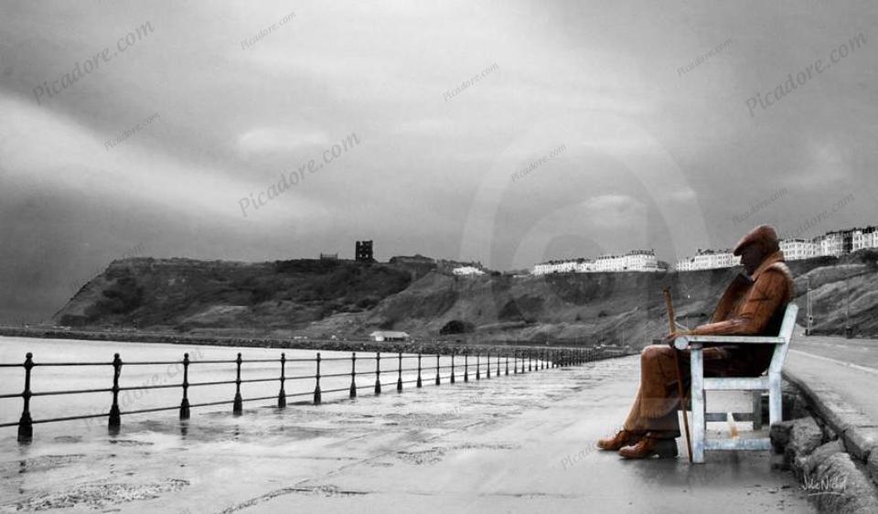 Freddie - watching over a stormy sky Large Version