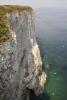 Bempton Cliffs