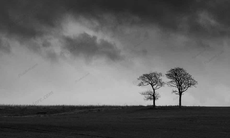 Storm Overhead Large Version