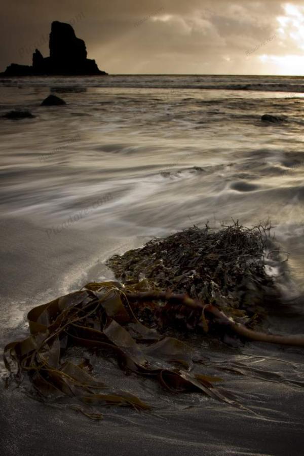 Talisker Bay Large Version