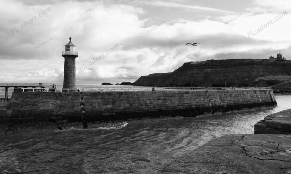 Whitby Harbour Large Version