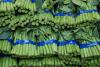 Vegetables at Market