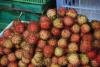 Fruit at Market