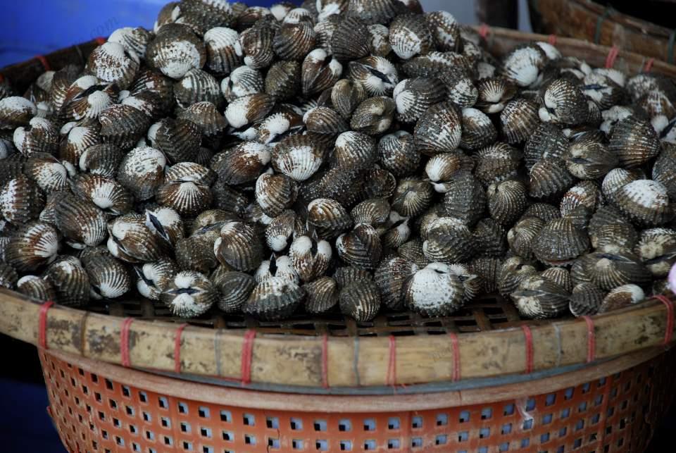 Shells at Market Large Version