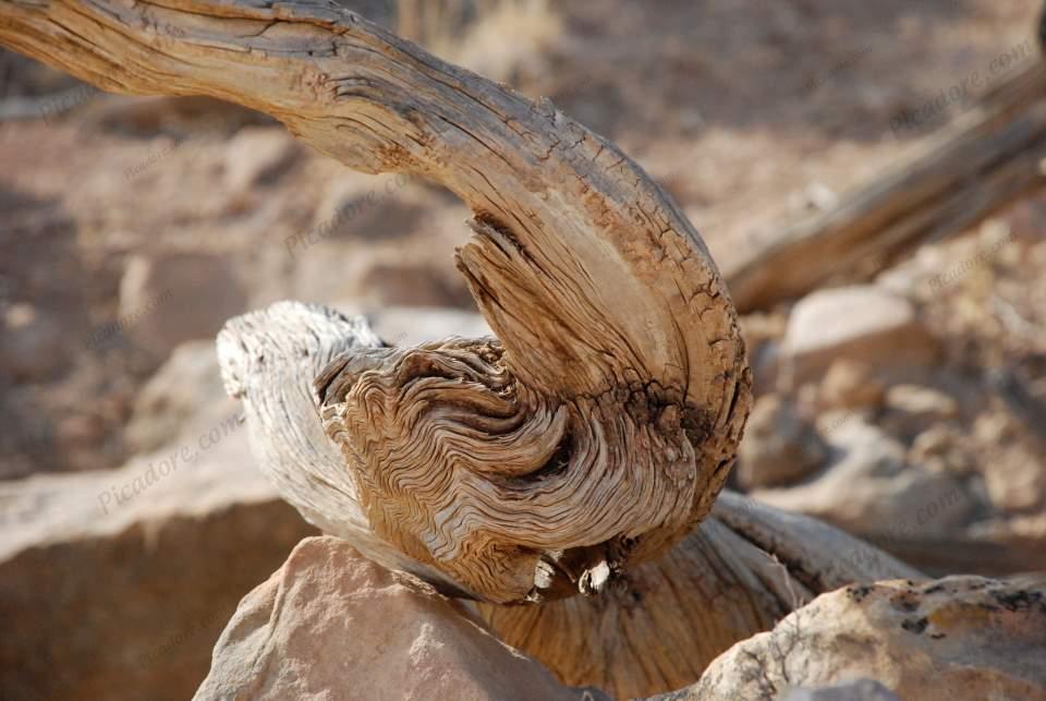 Wood Shape Ghost Ranch Large Version